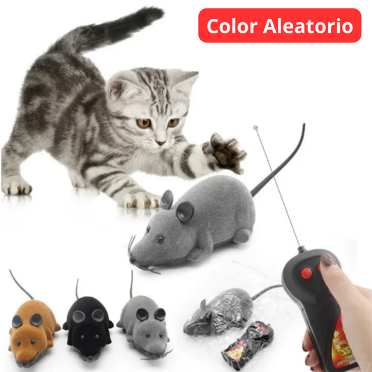 Kit Gato Feliz 2 en 1: Juego + Cuidado