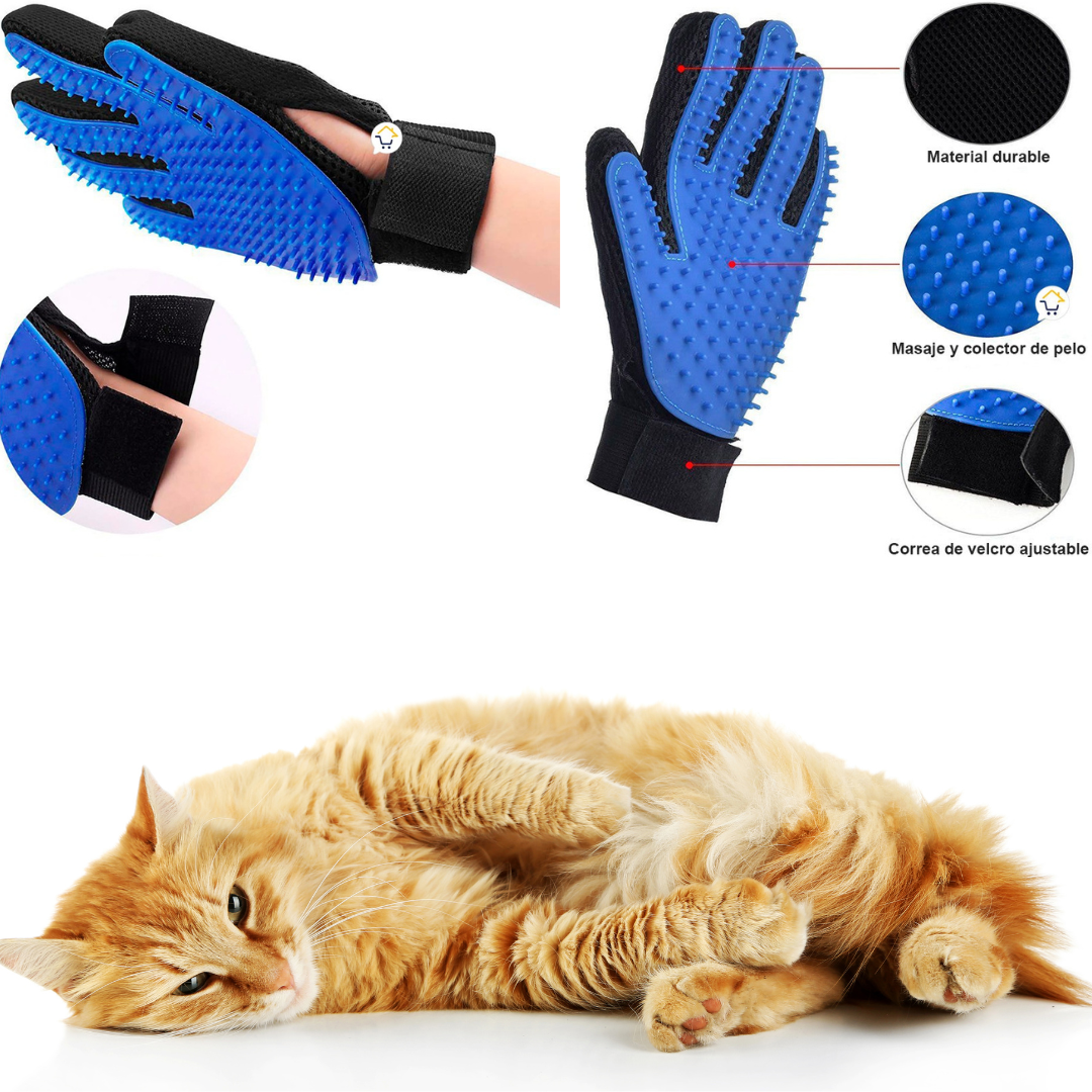 Kit Gato Feliz 2 en 1: Juego + Cuidado
