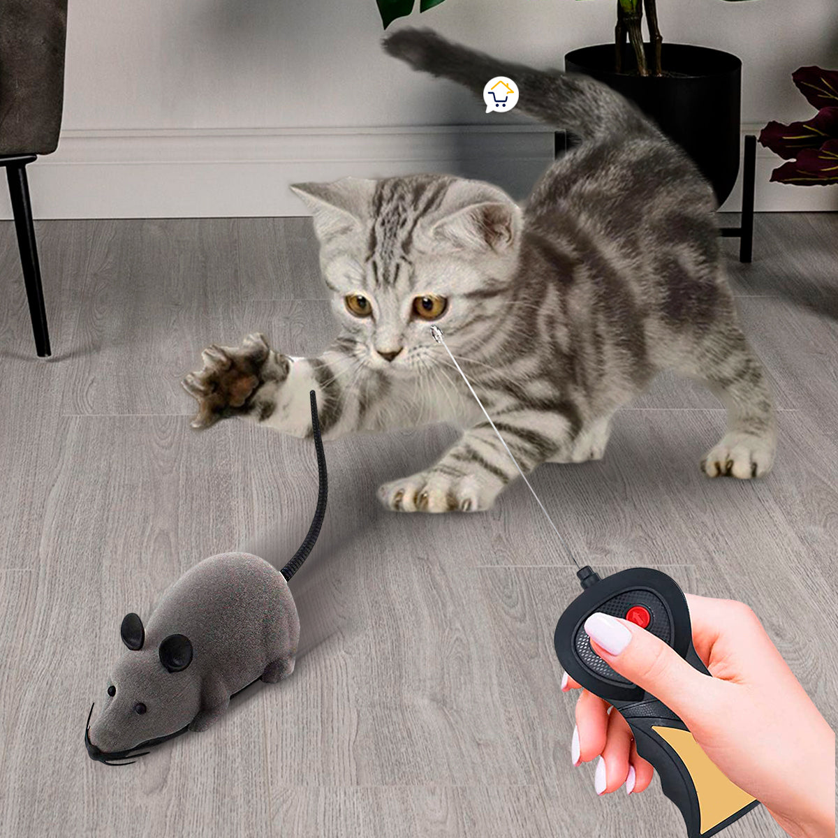 Kit Gato Feliz 2 en 1: Juego + Cuidado